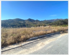  2023Ÿ��8448 ���� ��籺 ����� �߿��� 656      ����(����)���