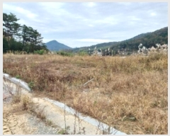  2023Ÿ��8448 ���� ��籺 ����� �߿��� 656      ����(����)���