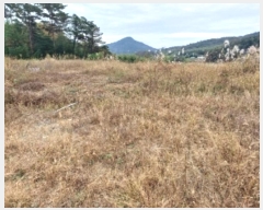  2023Ÿ��8448 ���� ��籺 ����� �߿��� 656      ����(����)���