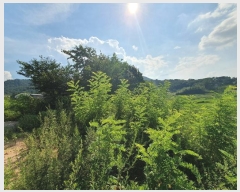  2023Ÿ��72685 ���� ���ֽ� ��ȣ�� 1088       ��Ÿ�������