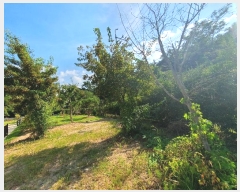  2023Ÿ��72685 ���� ���ֽ� ��ȣ�� 1088       ��Ÿ�������