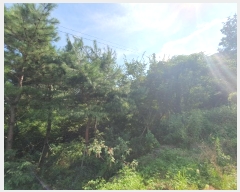  2023Ÿ��72685 ���� ���ֽ� ��ȣ�� 1088       ��Ÿ�������