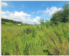  2023Ÿ��72685 ���� ���ֽ� ��ȣ�� 1088       ��Ÿ�������