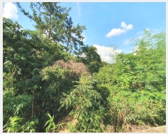  2023Ÿ��72685 ���� ���ֽ� ��ȣ�� 1088       ��Ÿ�������