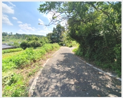  2023Ÿ��76298 ���� ��籺 â��� ��ȭ�� 571      ���ð��