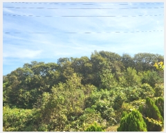  2023Ÿ��78744 ���� ��籺 �ݼ��� ������ ��2-9      ����(�Ӿ�)���