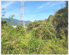  2023Ÿ��78744 ���� ��籺 �ݼ��� ������ ��2-9      ����(�Ӿ�)���