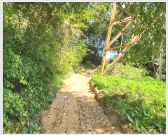  2023Ÿ��78744 ���� ��籺 �ݼ��� ������ ��2-9      ����(�Ӿ�)���