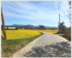  2023Ÿ��78744 ���� ��籺 �ݼ��� ������ ��2-9      ����(�Ӿ�)���