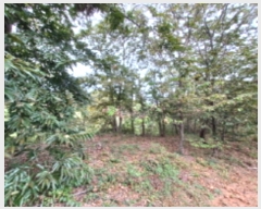  2023Ÿ��78744 ���� ��籺 �ݼ��� ������ ��2-9      ����(�Ӿ�)���