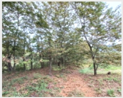  2023Ÿ��78744 ���� ��籺 �ݼ��� ������ ��2-9      ����(�Ӿ�)���