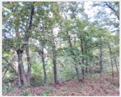  2023Ÿ��78744 ���� ��籺 �ݼ��� ������ ��2-9      ����(�Ӿ�)���