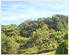  2023Ÿ��78744 ���� ��籺 �ݼ��� ������ ��2-9      ����(�Ӿ�)���