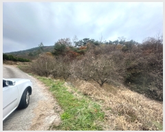  2023Ÿ��81436  ����