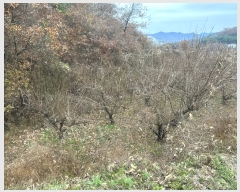  2023Ÿ��81436  ����