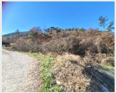  2023Ÿ��81436  ����