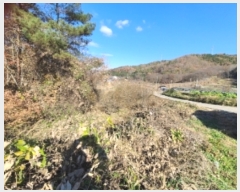  2023Ÿ��81436  ����