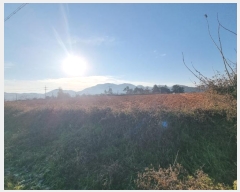  2023Ÿ81986  ֽ Ȳ ׼ 97-36      (Ӿ)