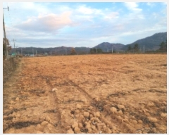  2023Ÿ81986  ֽ Ȳ ׼ 97-36      (Ӿ)