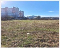  2023Ÿ��82521 ���� �强�� �强�� ��긮 112-4      ����(��1)���