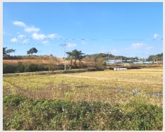  2023Ÿ��80327 ���� ������ ������ ���ϸ� 31-3      ����(��)���