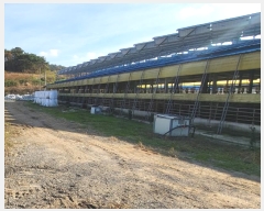  2023Ÿ��80327 ���� ������ ������ ���ϸ� 31-3      ����(��)���