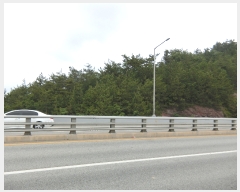  2023Ÿ2023  žȱ  帮 169      (Ӿ)