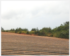  2023Ÿ2023  žȱ  帮 169      (Ӿ)