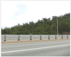  2023Ÿ2023  žȱ  帮 169      (Ӿ)