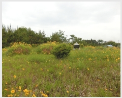  2023Ÿ2023  žȱ  帮 169      (Ӿ)