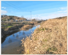  2023Ÿ��2108 ���� ���ϱ� ��ȣ�� ���渮 1345      �������