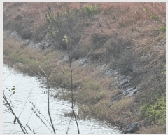  2023Ÿ��2108 ���� ���ϱ� ��ȣ�� ���渮 1345      �������