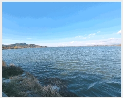  2023Ÿ��2108 ���� ���ϱ� ��ȣ�� ���渮 1345      �������