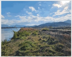  2023Ÿ��2108 ���� ���ϱ� ��ȣ�� ���渮 1345      �������