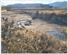  2023Ÿ��2108 ���� ���ϱ� ��ȣ�� ���渮 1345      �������