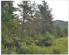  2023Ÿ��3248  �Ӿ߰��