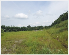  2023Ÿ��3248 ���� ���ϱ� ������ ���ϱ� 150-12      �����ü����