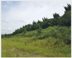  2023Ÿ��3248 ���� ���ϱ� ������ ���ϱ� 150-12      �����ü����