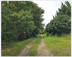  2023Ÿ��3248 ���� ���ϱ� ������ ���ϱ� 150-12      �����ü����