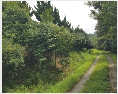  2023Ÿ��3248 ���� ���ϱ� ������ ���ϱ� 150-12      �����ü����