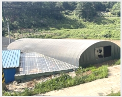  2023Ÿ52325   뵿 ۸ 999-8      ()