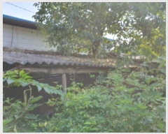  2023Ÿ��6240 ���� ������ ��õ�� ���긮 169-1      ����(����)���