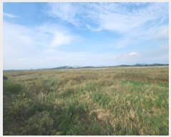  2023Ÿ2531   Ҷ  1346-12      