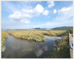  2023Ÿ2531   Ҷ  1346-12      