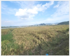  2023Ÿ2531   Ҷ  1346-12      