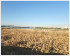  2023Ÿ2531   Ҷ  1346-12      