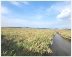  2023Ÿ2531   Ҷ  1346-12      