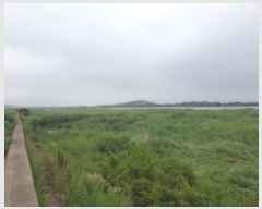  2023Ÿ2531   Ҷ  1346-12      