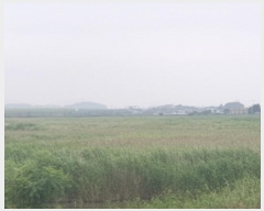  2023Ÿ2531   Ҷ  1346-12      