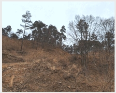  2023Ÿ2586  ʱ 굿 긮 29      ()